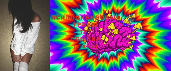 MESCALINE Гусев